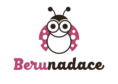 Berufundacja